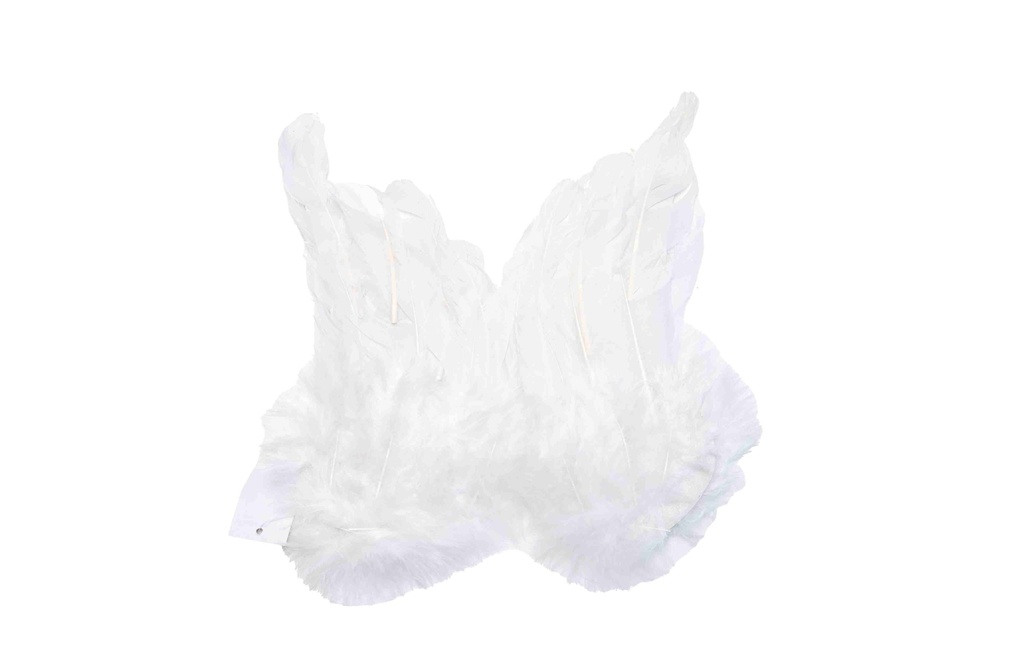 Feather Wings A1009