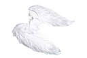 Winged Angel A10686