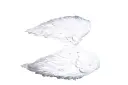 Angel Wings A106875