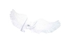 Battery-operated light-up angel wings A6463