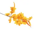 Cành trang trí mùa thu 68cm A17050