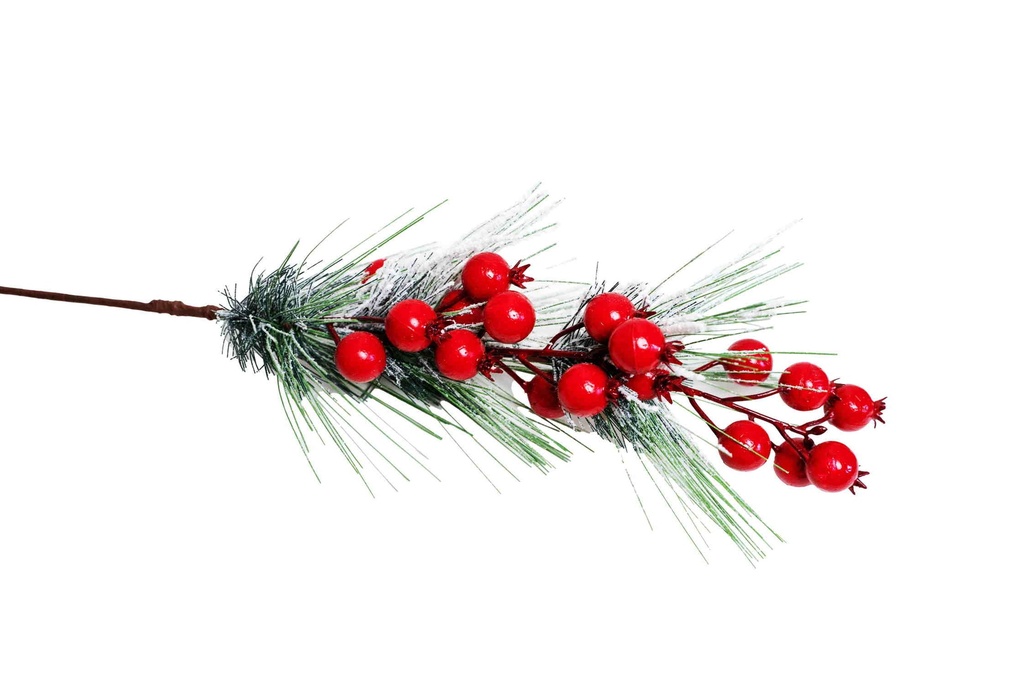 Cây hoa Giáng sinh 65cm A2730