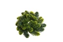 Vòng nguyệt quế Giáng sinh 25cm A10647 (bao bì 2 cái)