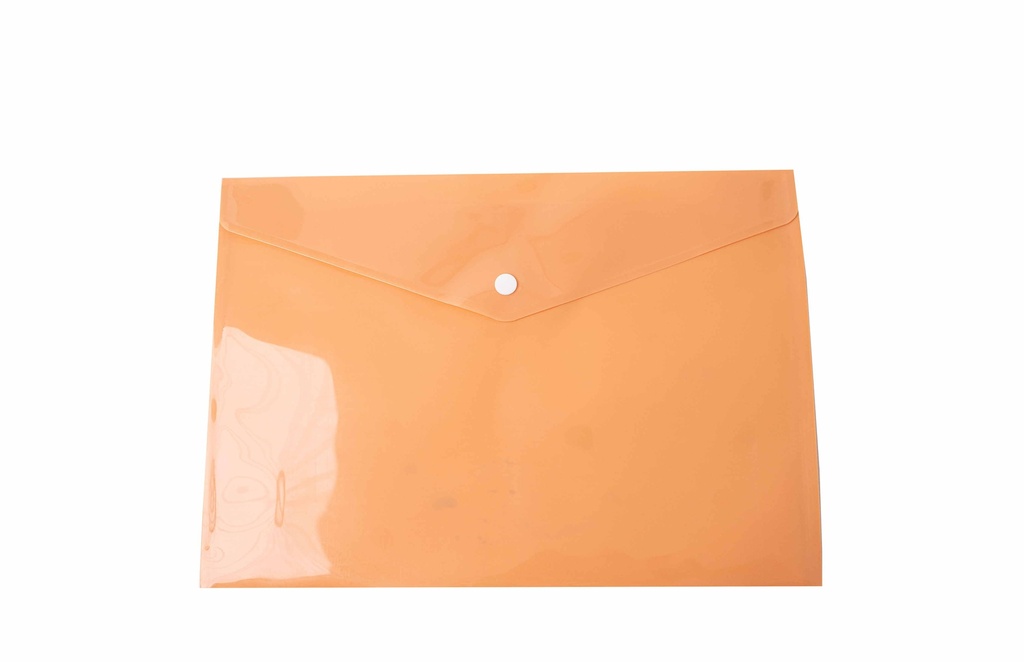 Document case 23x17cm - A265