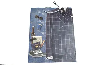 Túi quà tặng A10274 - size L