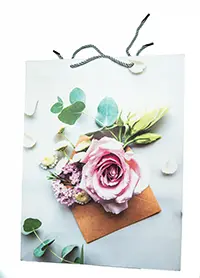 Gift Bag A10246 - size L