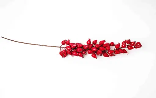 Decorative Branch A6726