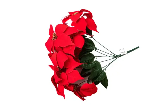 Christmas Star A10853