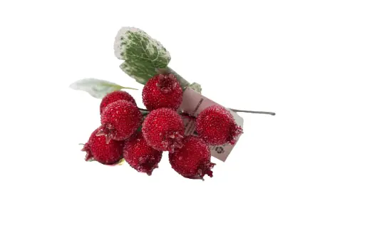 Decorative Pick A10868