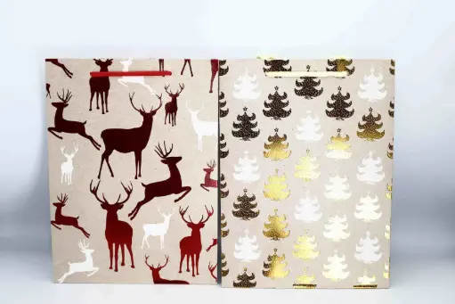 Gift Bag 10929 - size S