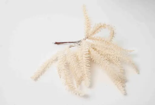 Christmas Branch 10661