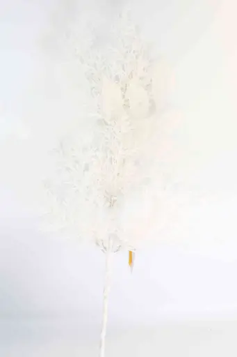 Christmas Wreath A10557