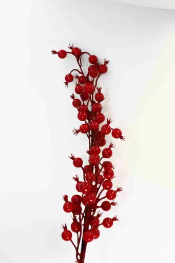 Vánční Branch A10611