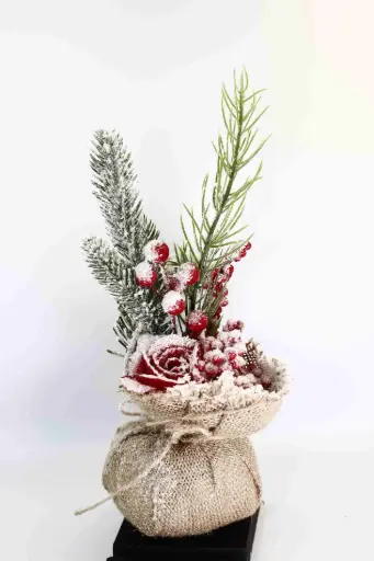 Cây thông Noel A10676