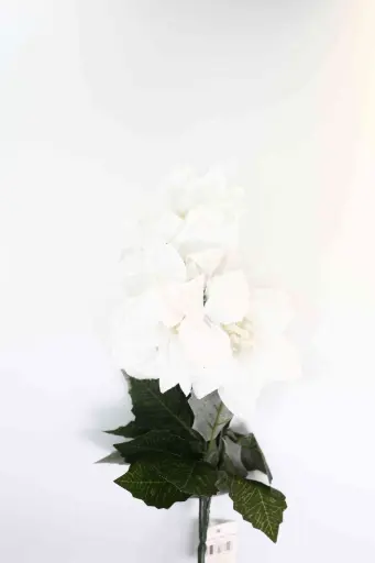 hoa giáng sinh 28cm