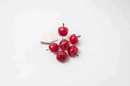 Decorative branch b8298