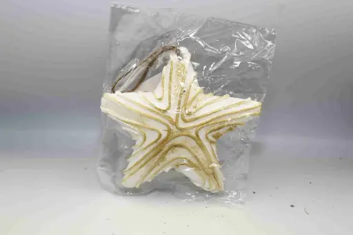 Decorative polystyrene star A1309