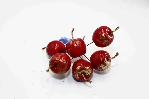 Christmas Decorative Branch A10633