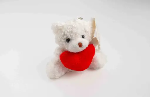 Plush Keychain A8429