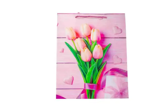 Túi quà A10182 - size M