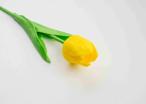 Umělé květiny tulipán A10318