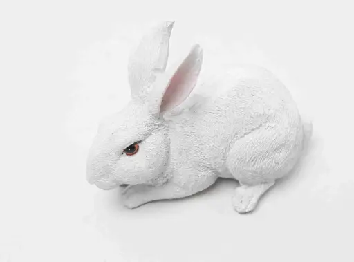Rabbit 3700