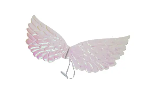 Angel Wings A6531
