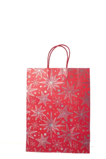 Túi quà tặng N498 - size L