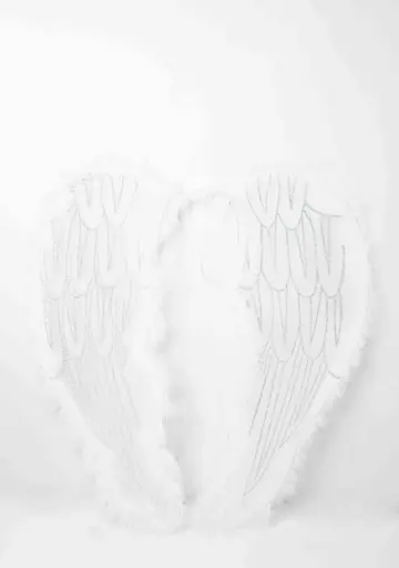 Angel Wings A10685