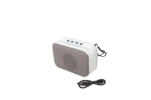 Wireless Portable Speaker A2960