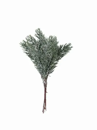 Vánoční vetev 10667