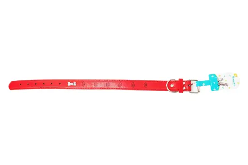 Dog Collar A2654
