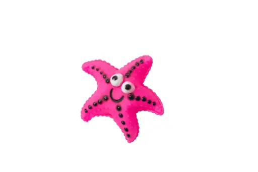 Dog Toy A5571