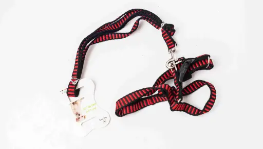 Harness 5597
