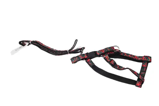 dog harness with leash 1106