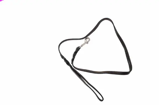 Leash 5612