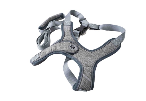 Dog Harness and Leash A2646