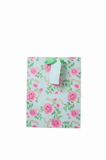 Gift bag N558
