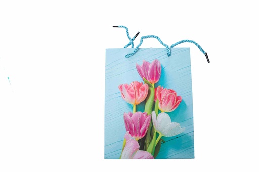 Gift bag A10181