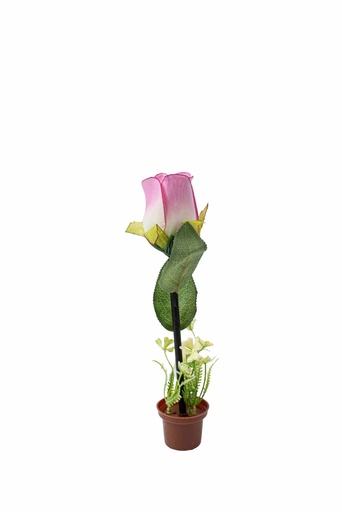 Bút bi hoa hồng A5353