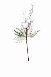 Ảnh sản phẩm