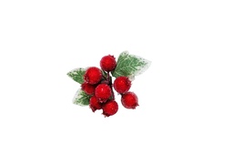 Ảnh sản phẩm